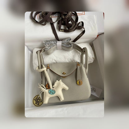 new-designer-premium-bags-nm23041