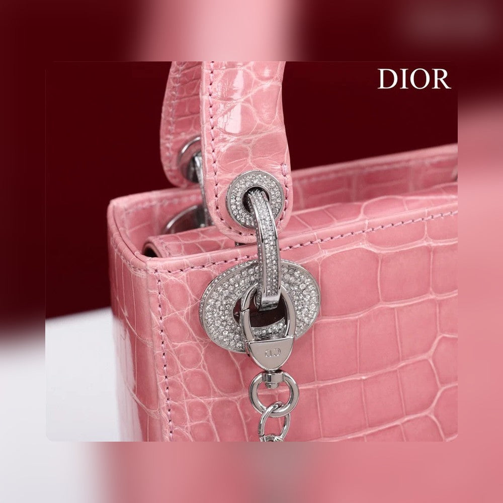 Anum Bags Detail
