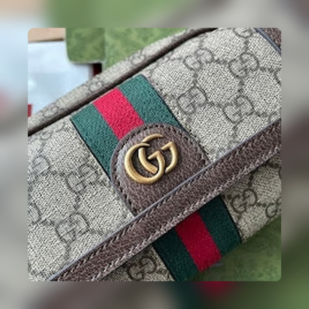 new-luxury-designer-bags-nm8556
