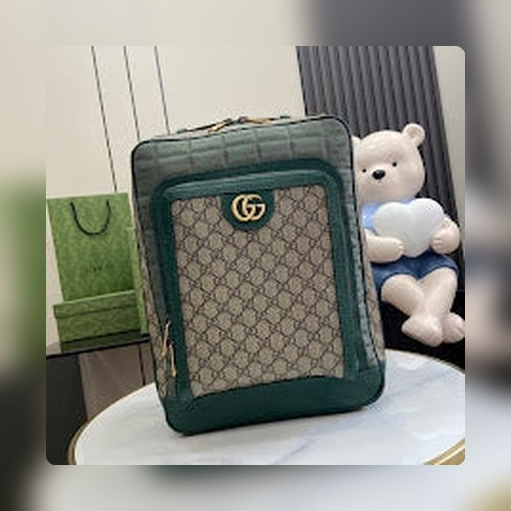 new-designer-premium-bags-nm8555