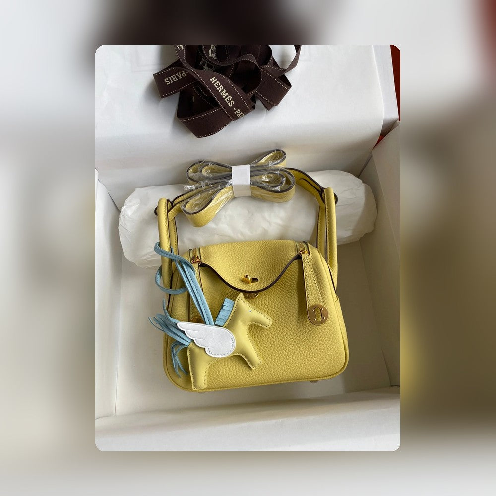 new-designer-premium-bags-nm23044