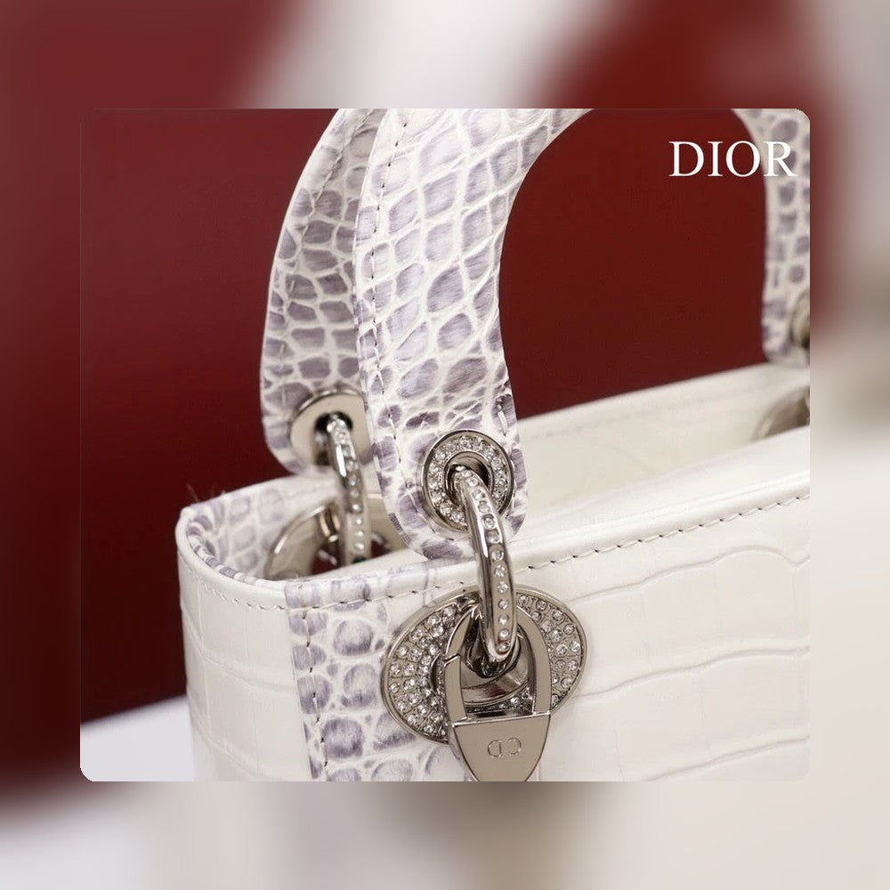 Anum Bags Detail