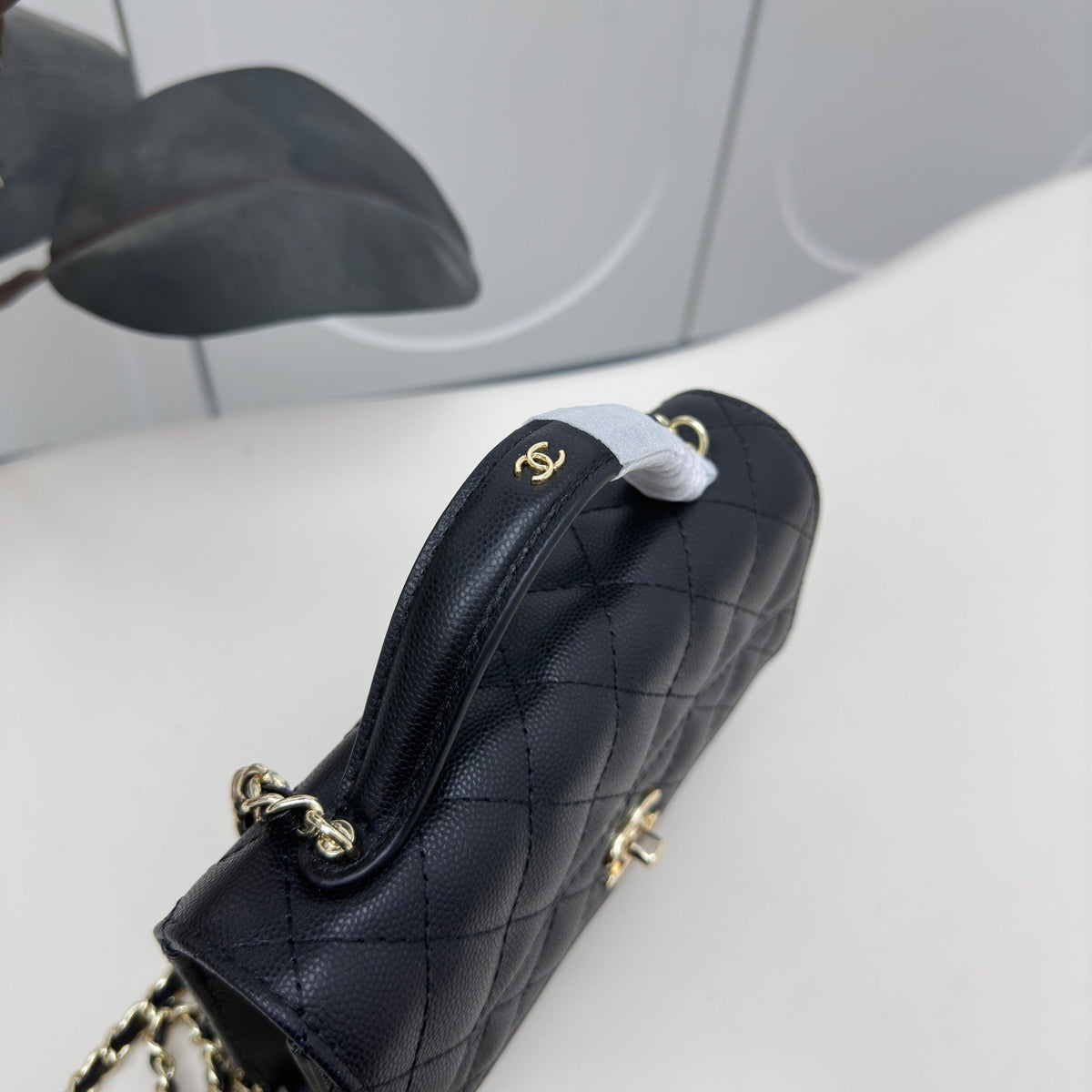 Anum Bags Detail