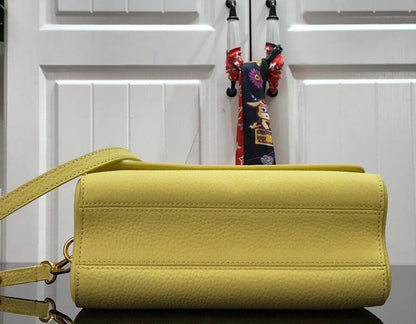 Anum Bags Detail