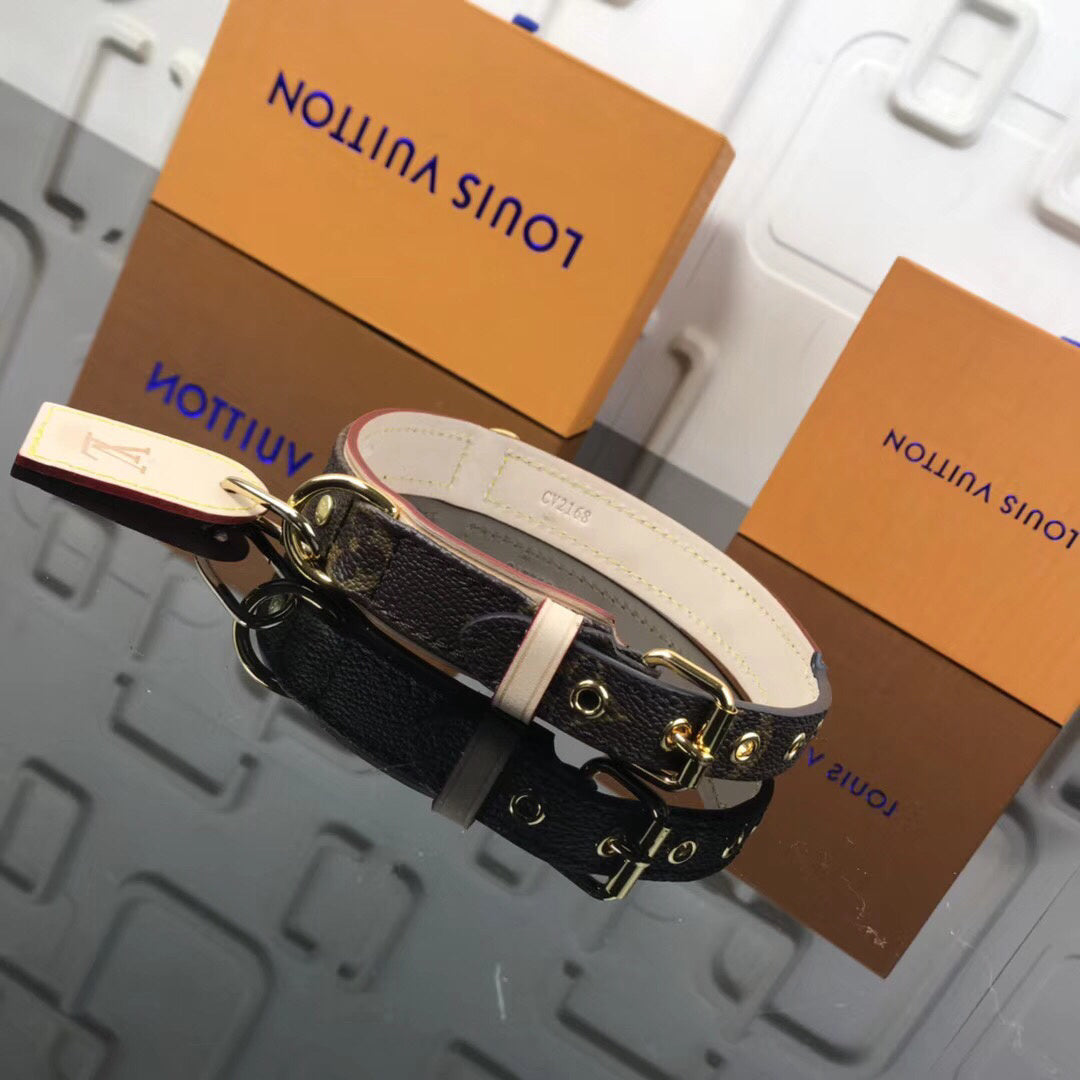 Anum Wallets - DESIGNER WALLETS FOR WOMEN - AFFORDABLE LUXURY - 4552