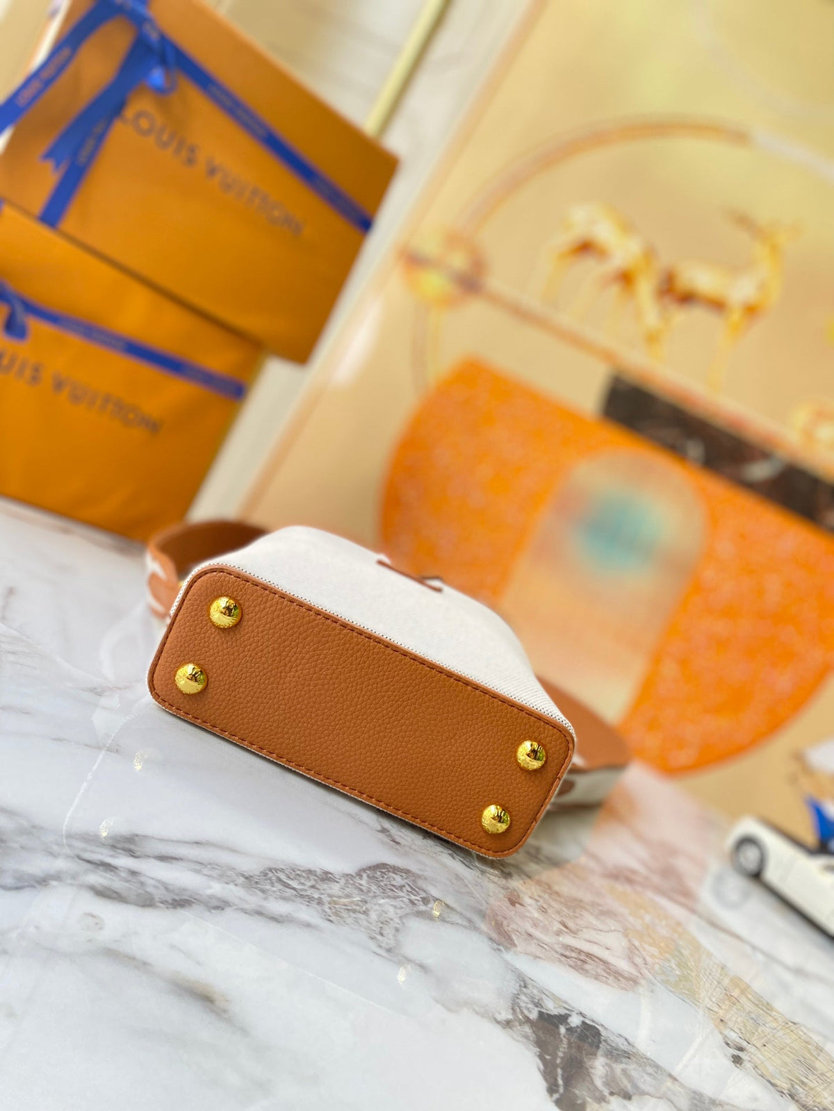 Anum Bags Detail