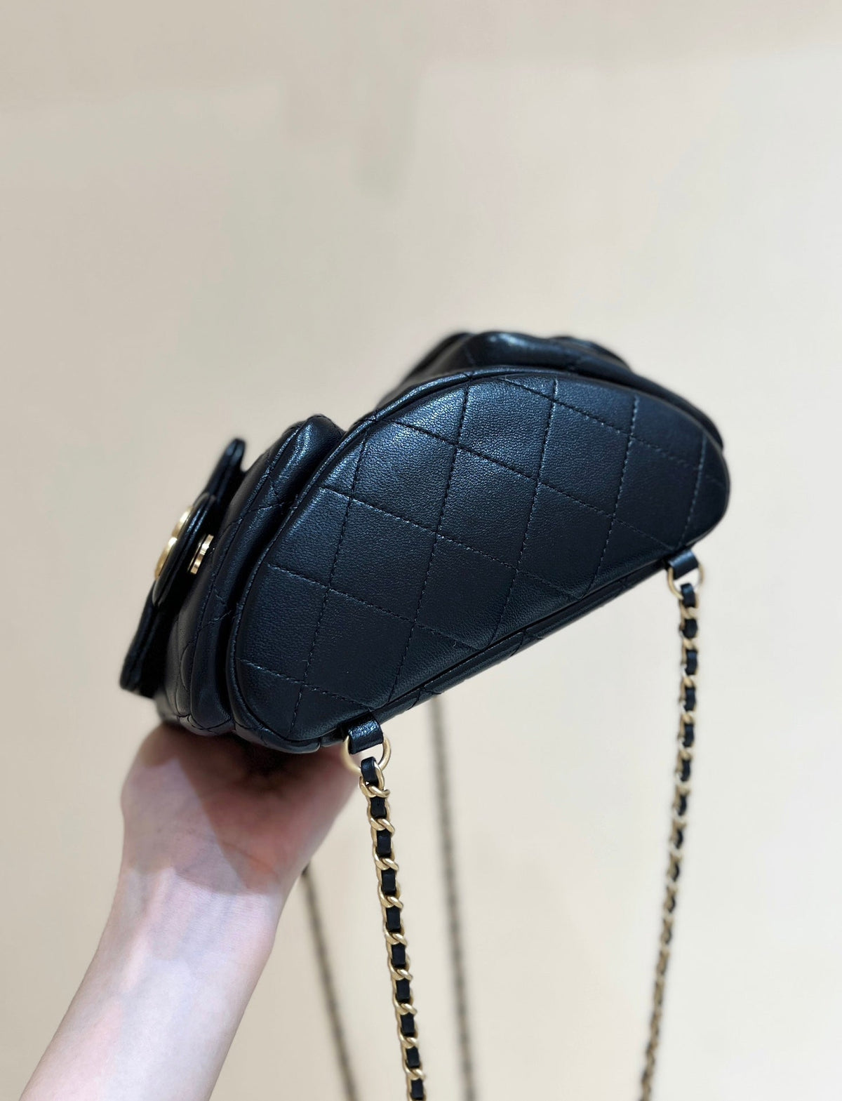 Anum Bags Detail