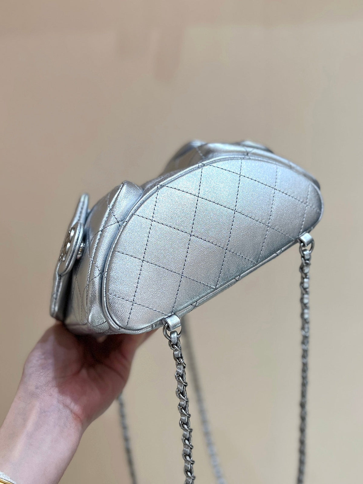 Anum Bags Detail