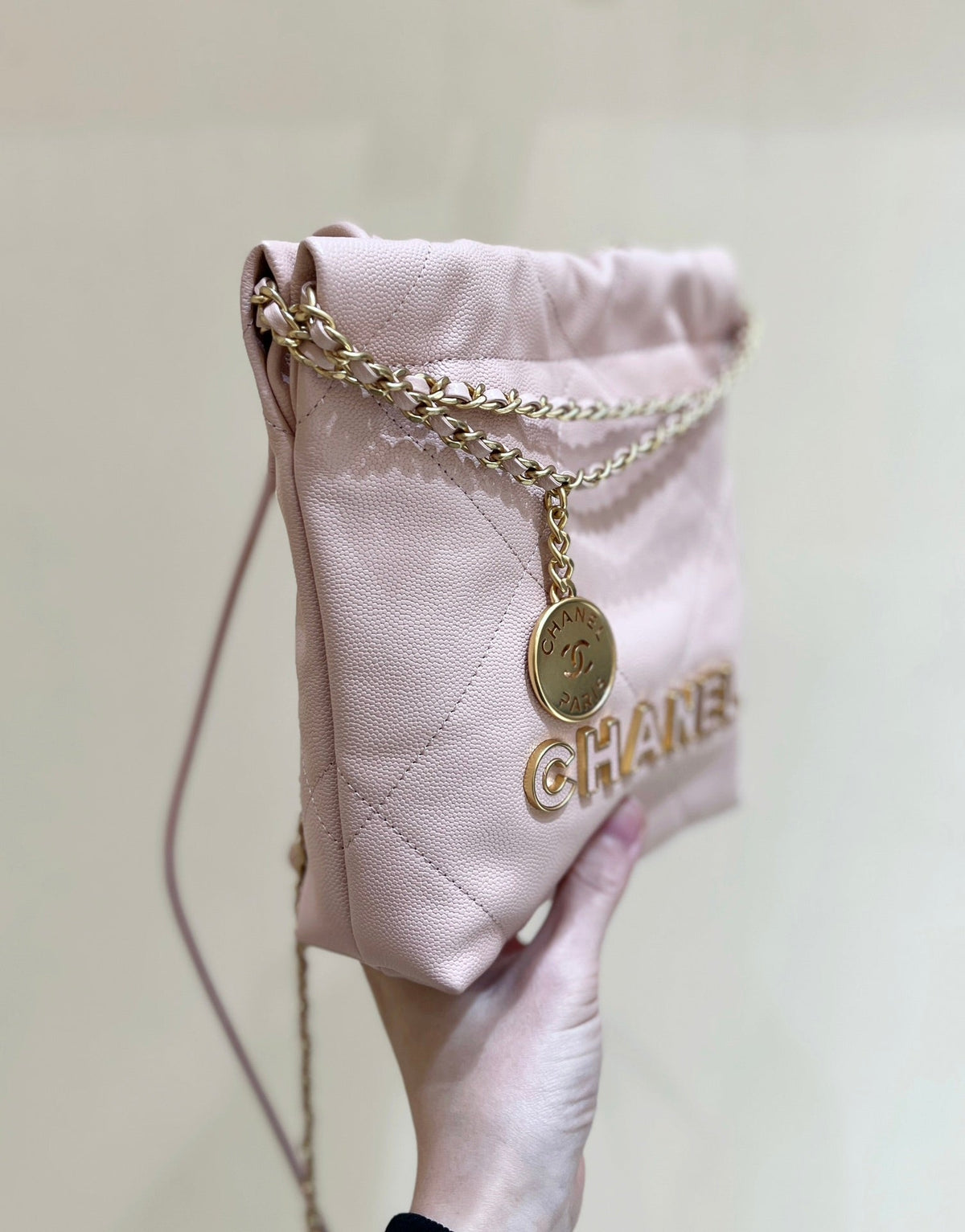 Anum Bags Detail