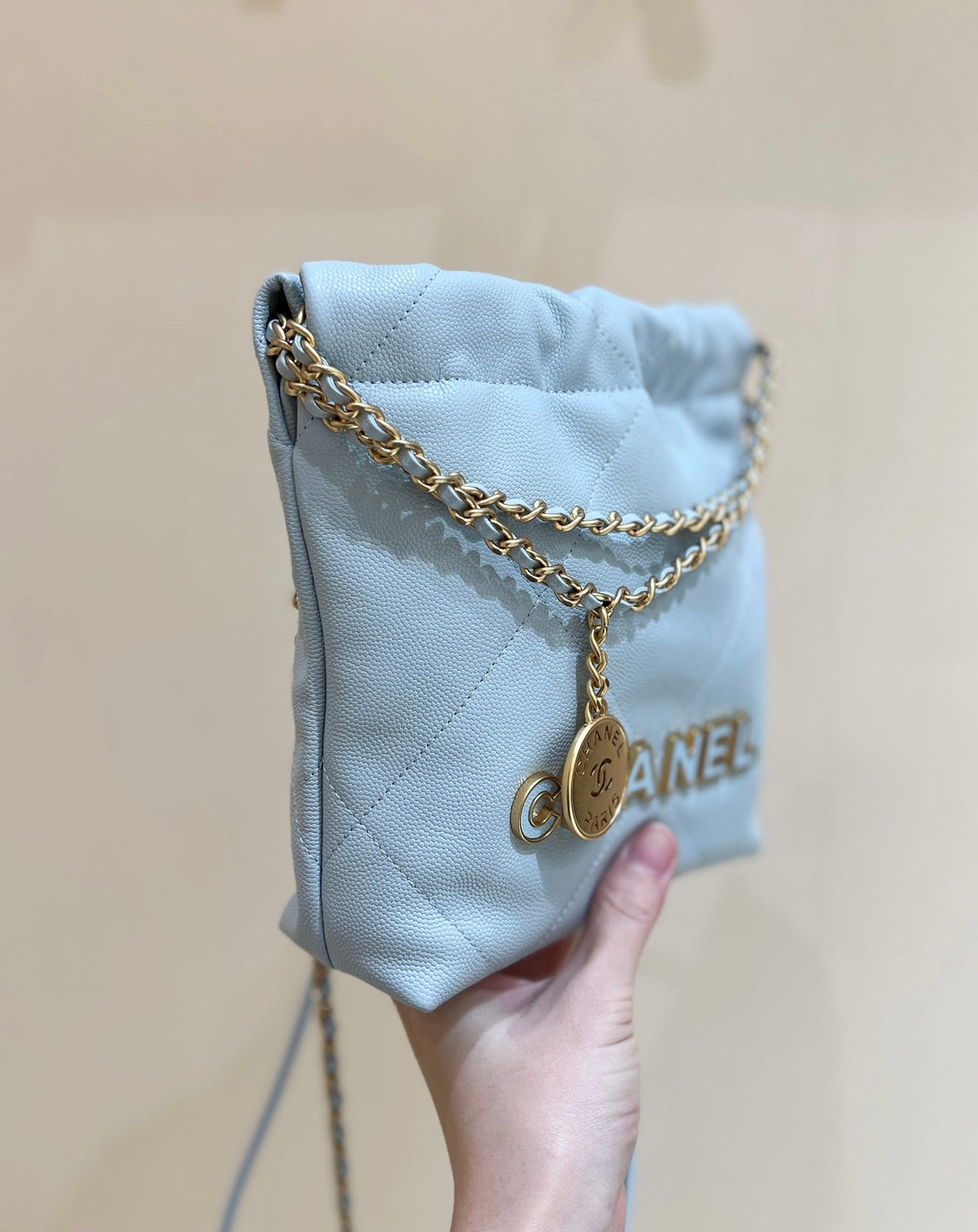 Anum Bags Detail
